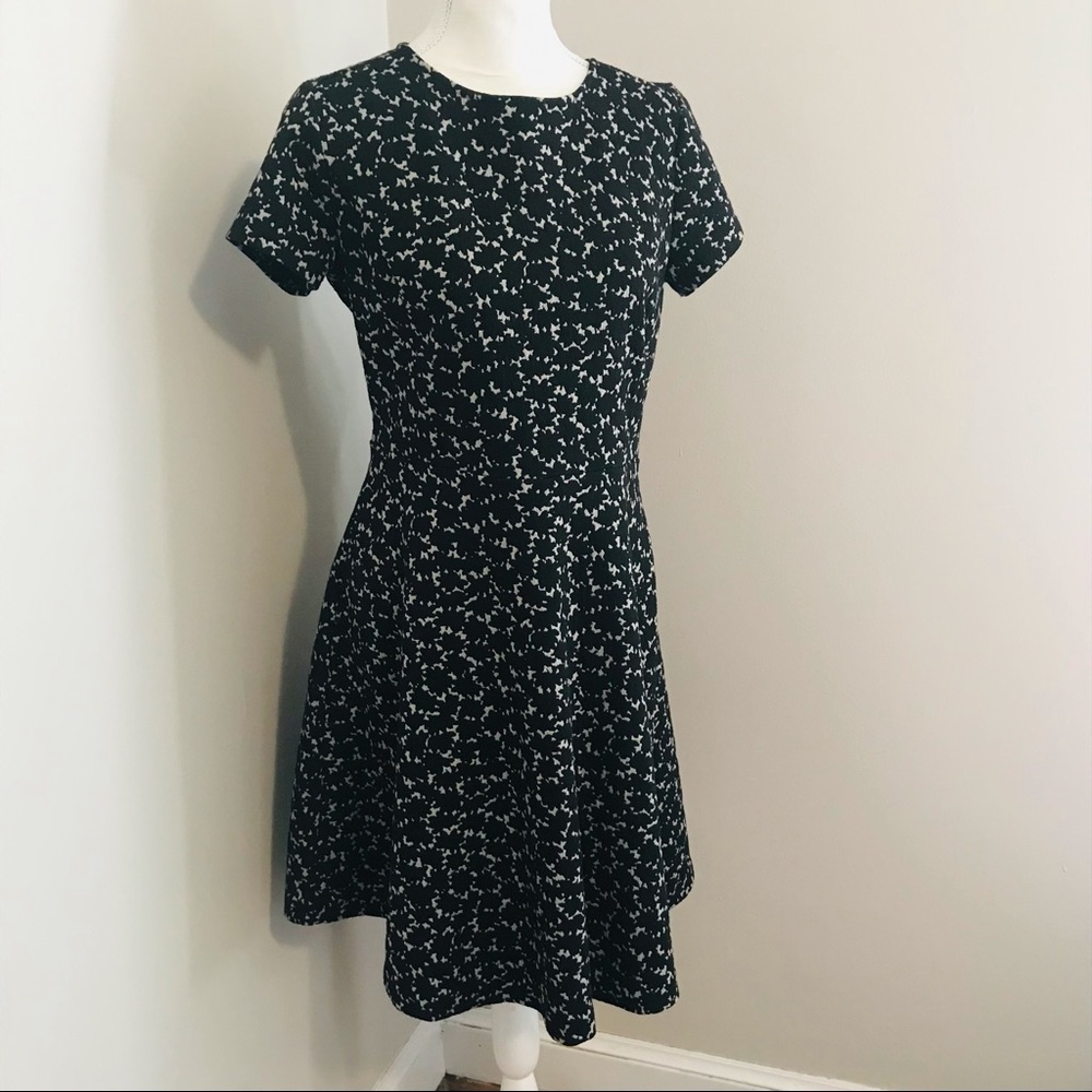 Loft Dress